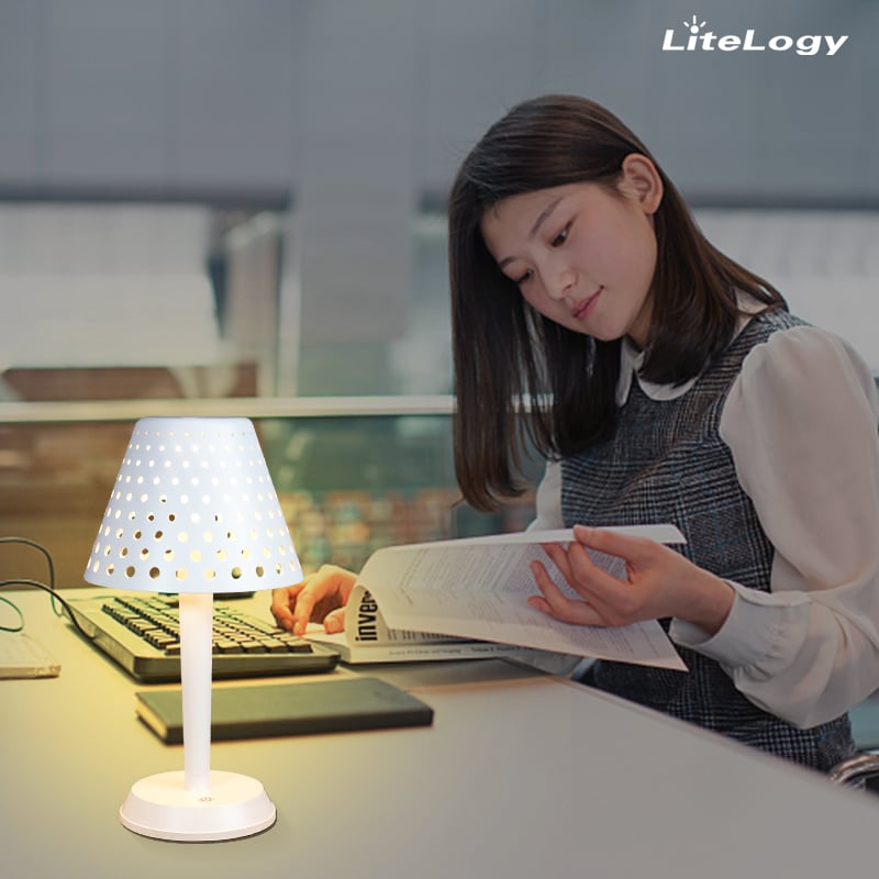 Rechargeable mesh table lamp