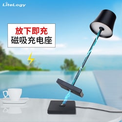 Aluminium acrylic lamp