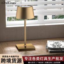 Portable cordless table lamp versatile